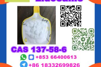  Manufacturer Supply Raw Material CAS 137586 Lidocaine